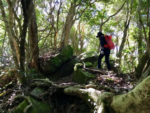 大混山連走李崠山397892