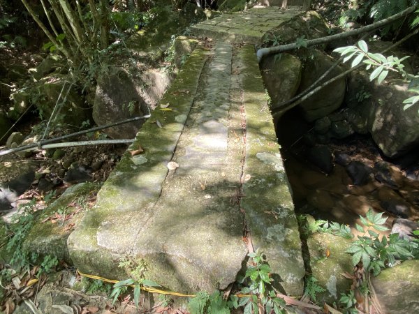 《五指山古道 × 石盤瀑布 × 友蚋山南峰 × 柯子林天然泳池｜尋訪山林古道與靜謐日式庭園》2923013