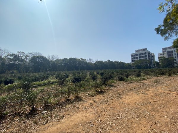 苗栗頭份-老崎古道2628340