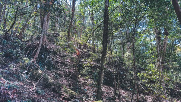 八仙山警官駐在所2803623