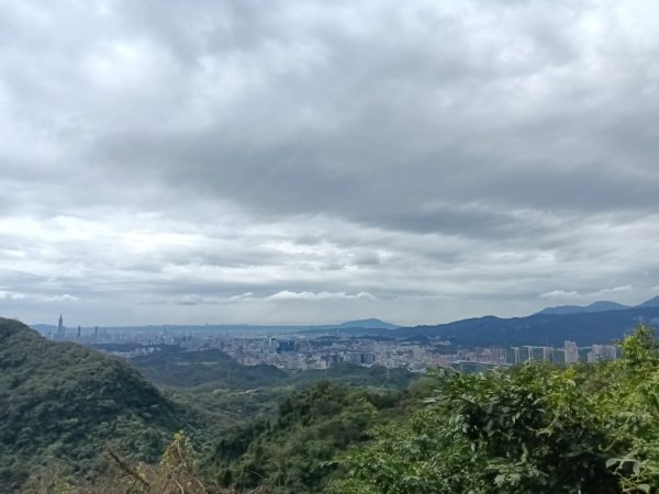 汐止區大尖山櫻花+秀峰瀑布O型3009357