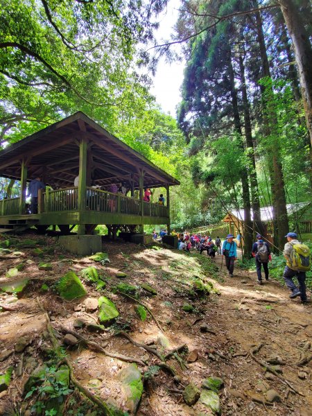 【嘉義|大凍山】多林-頂湖走1010196