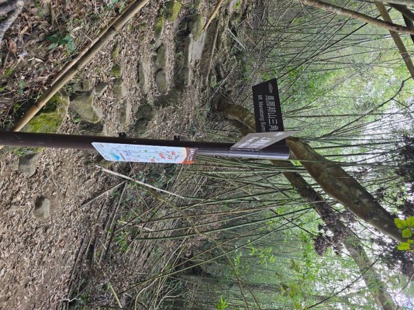 馬那邦山之雲海／雲瀑／楓紅／太陽琉璃光2668239