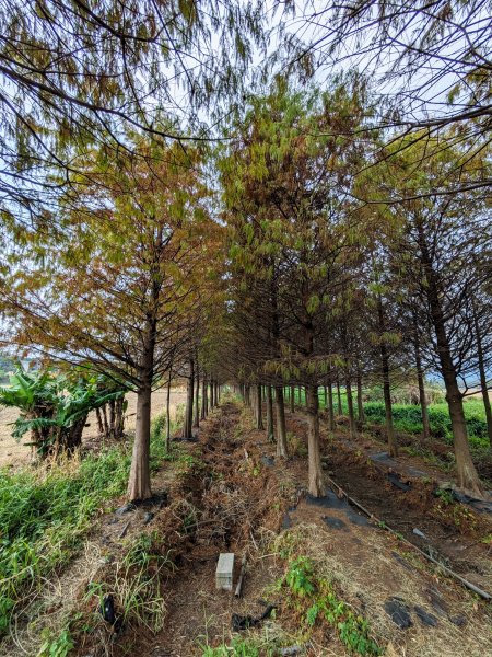 農禪寺,普濟寺2407050