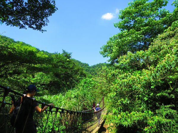 夏季清涼步道 三貂嶺越嶺猴硐古道1030959