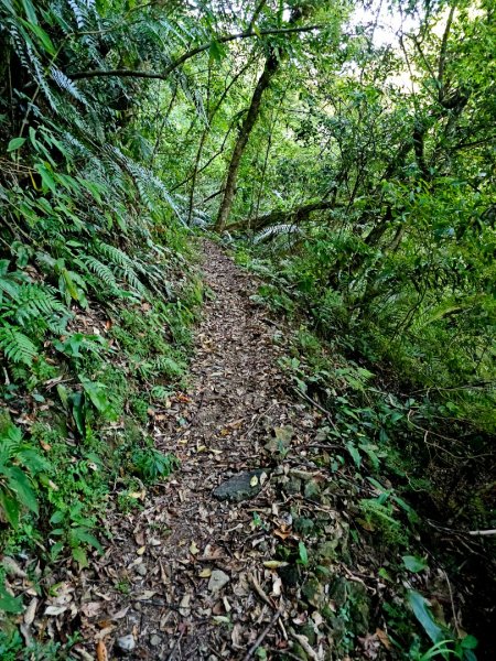 枋山坑古道(淡蘭中路)-新北市坪林區2882699