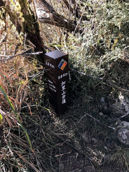 加里山大坪登山口201911241965164