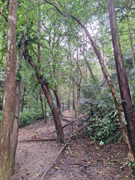 微笑山線：【五分山系】望古瀑布段+平溪小黃山段+慈恩嶺2932584