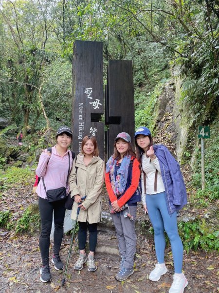 20250329 抹茶山-聖母登山步道2758924