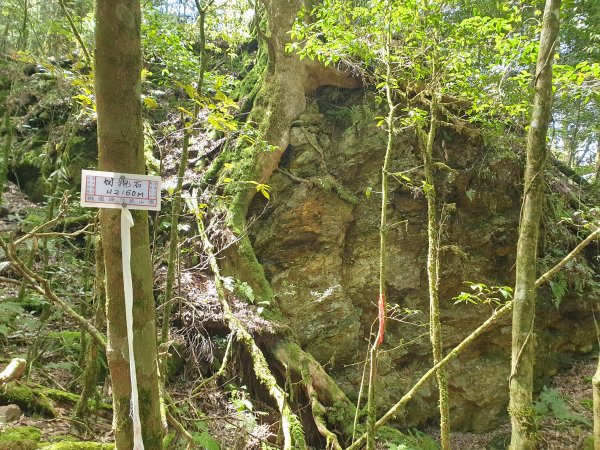 永安山、百志興保山1679596