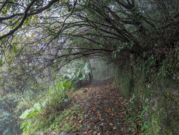 2023-12-23 臺北大縱走第二段2793124