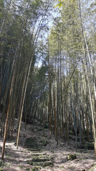 步道巡訪員│四大天王山步道三月巡訪日誌871295