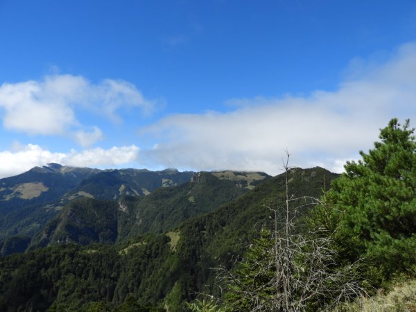 桃山17池有山17O型151123139