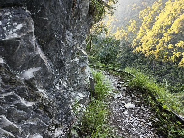 [玉山尋寶任務-07/12] 2025_0824 八通關雲龍瀑布步道2870498
