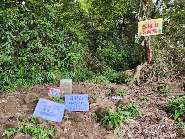 關西赤柯山、東獅頭山步道2395152