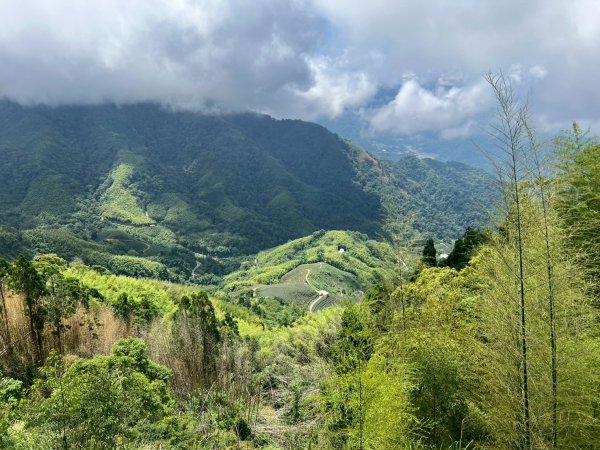 嵐山再古坑。五元兩角 木馬古道2806176