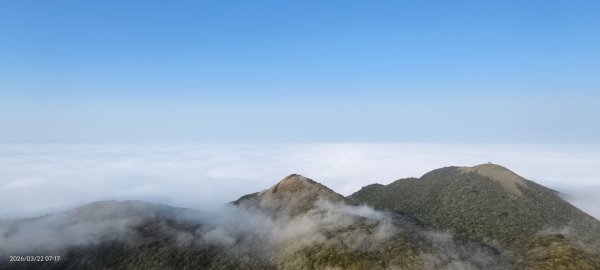 #大屯山 #雲海 3/223019615