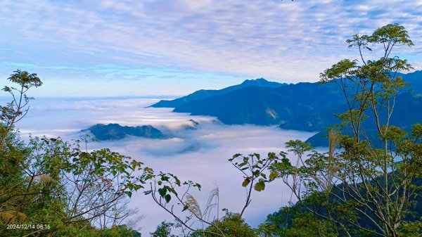 二訪馬拉邦山，解鎖 #琉璃光雲海 #日出雲海  #血月 #斜射光 #楓葉紅了！2668576