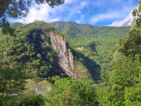 小百岳集起來立霧山登山步道，初音山步道3113455