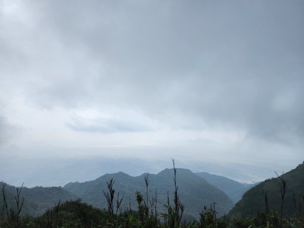 小百岳No.82⛰灣坑頭山3003077