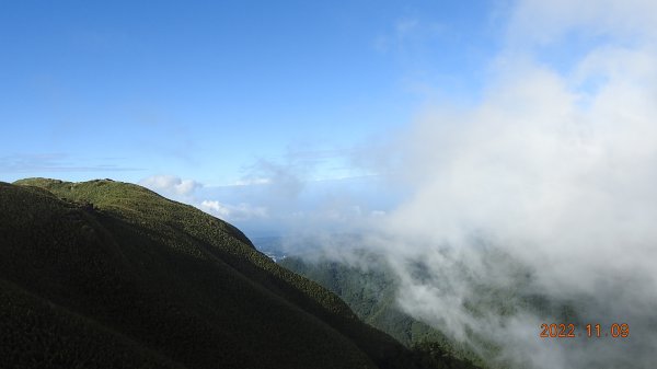 觀音圈+夕陽+芒花+雲霧飄渺+雲層帶狂風大作弱不禁風1904993