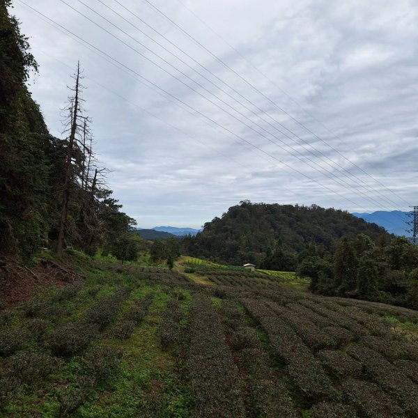 【小百岳49】貓囒山完成!+彩蛋清淨雲海2696058