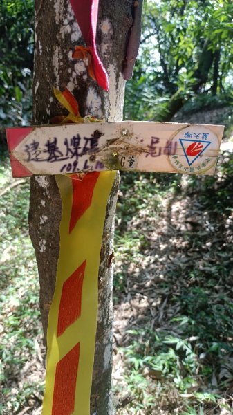 新北深澳山3039827