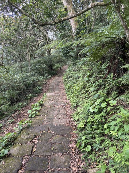 陽明山東西大縱走-西段3016182