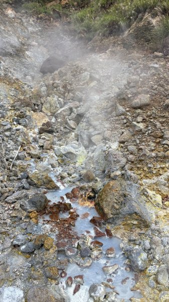 漫遊陽明山2951926