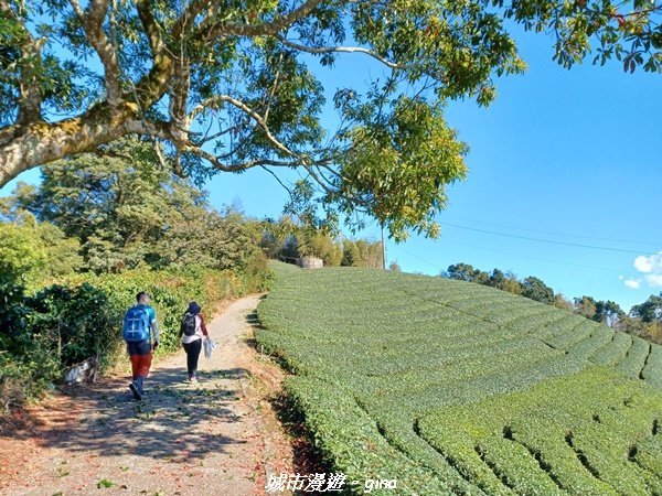 【嘉義梅山】悠閒踏青趣。 雲嘉大尖山、二尖山步道2447270