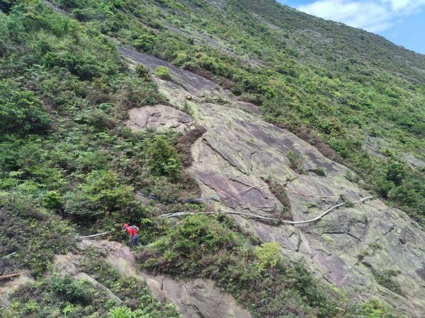 瑞芳半平山大峭壁鋸齒稜劍龍稜O型1675848