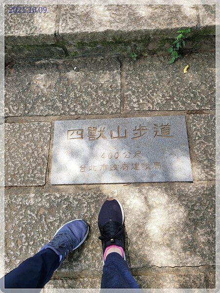 台北大縱走1495021