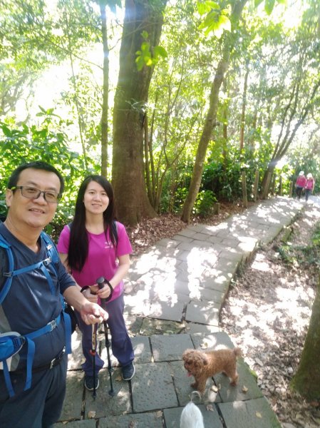 1081215陽明山主，東峰O型走走散步776222