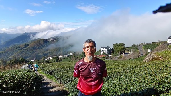 阿里山 #隙頂二延平 #頂石棹 #觀音圈 #雲海 #琉璃光 #雲瀑 #霧虹 11/172649803