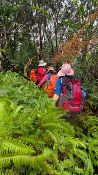 關西大東坑山/草長難過  順訪東安古橋2930525