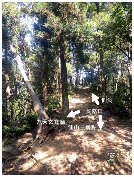 仙山(小百岳)新基石2567710