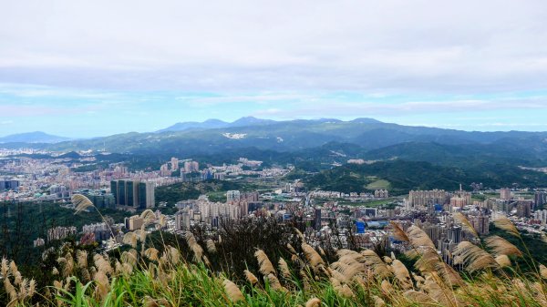 汐止大尖山2971880