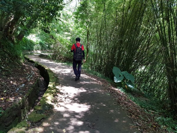 魚路南段(絹絲步道-擎天崗)1088990