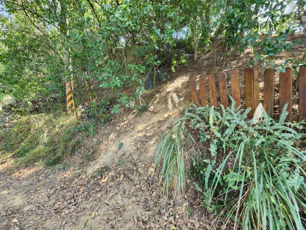 20260223柯子湖山菜堂山尖山沙湖壢山與寶山水庫基石3012629