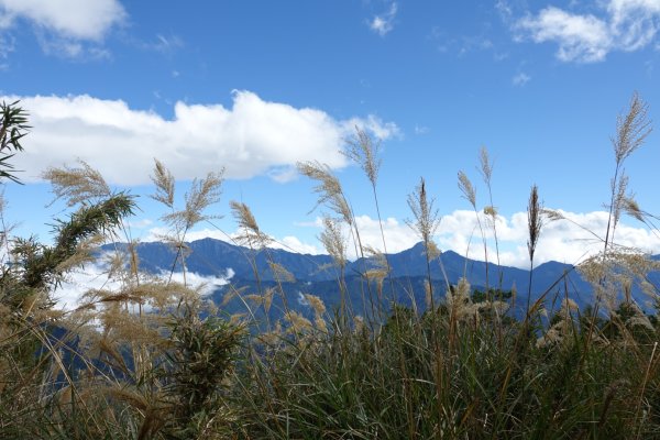 雪山主東下翠池1195403