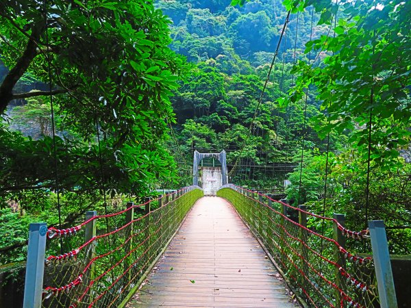 夏季清涼步道：烏來內洞、信賢森林步道588302