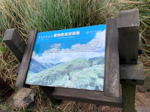 七星山（小百岳）830147