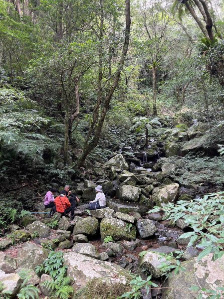 桃園 復興/新北 三峽 東滿步道2314909