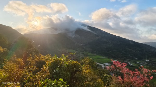 追花是簡單的快樂，賞花是恬淡的幸褔 3/2&73008758