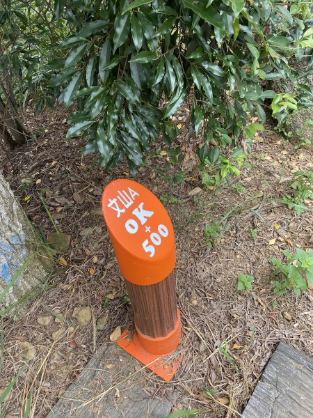 20250706-EP.06犁頭山、文山步道-2025森遊竹縣皮皮獅探險隊2851723