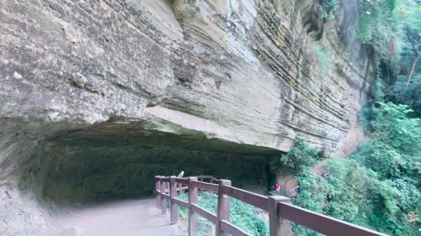 雲潭瀑布步道/青年嶺步道/燕子崖/蝙蝠洞/野薑花溪步道/綠色隧道 環狀1779294