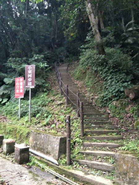 小東河步道1431977