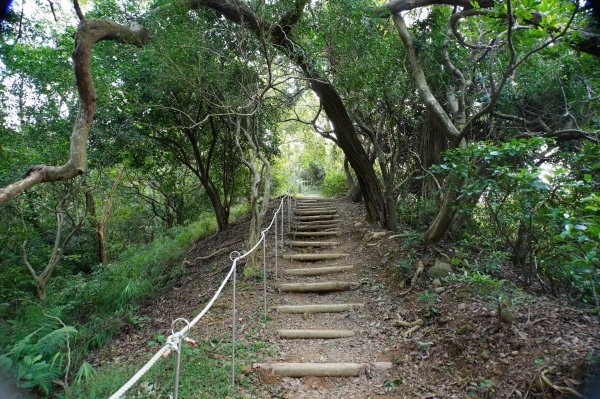 新竹 新埔 犁頭山、吧哩國山、石頭坑山2936765