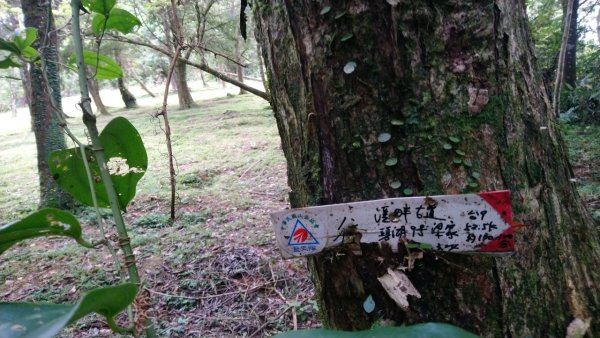 淡蘭古道南路（湖底嶺、四堵古道、溪畔古道）1433988