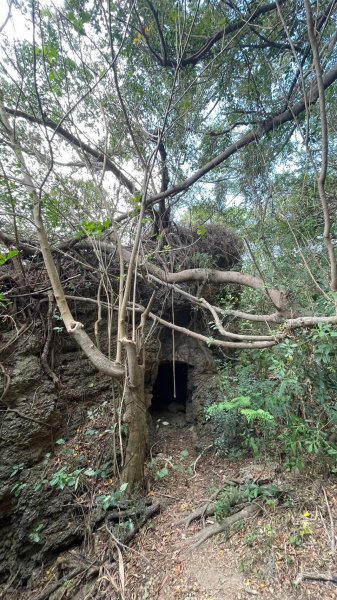 230210-美美兔不在頭城龜山島，在絕美秘境車城龜山步道。熱的不像冬天。2040073